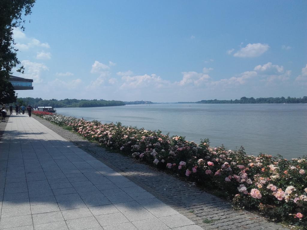 Danube Apartment Belgrád Kültér fotó